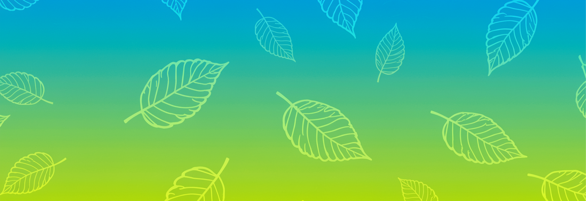slider image 1621243260e1af0c20-2